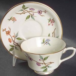 Floral Porcelain Teacup and Saucer Set